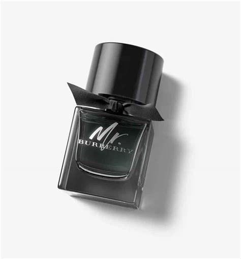 mr burberry 50ml|Burberry brit for men fragrantica.